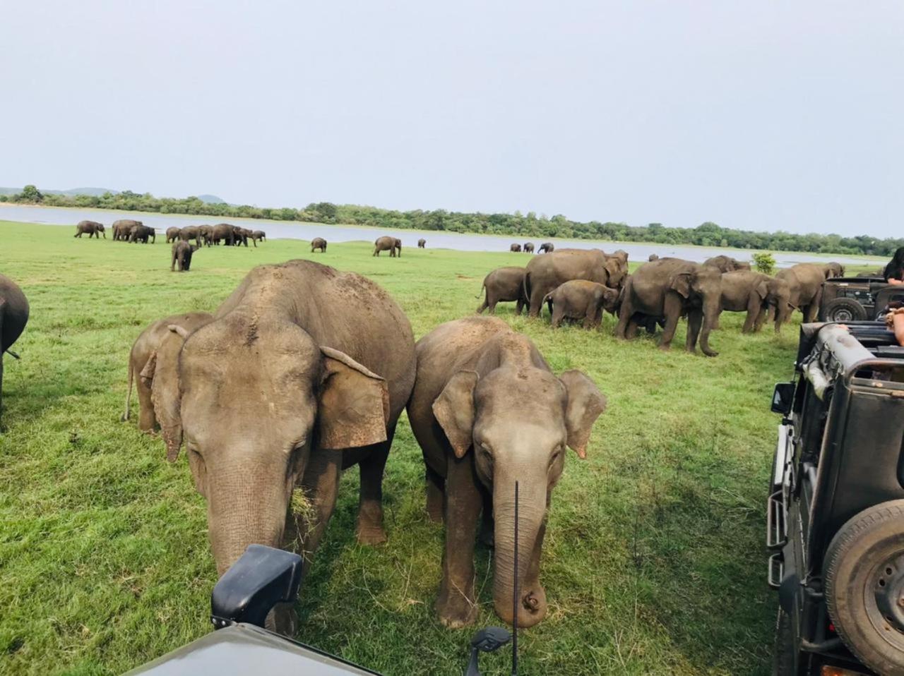 Sigiriya Rastha Hostel Eksteriør billede